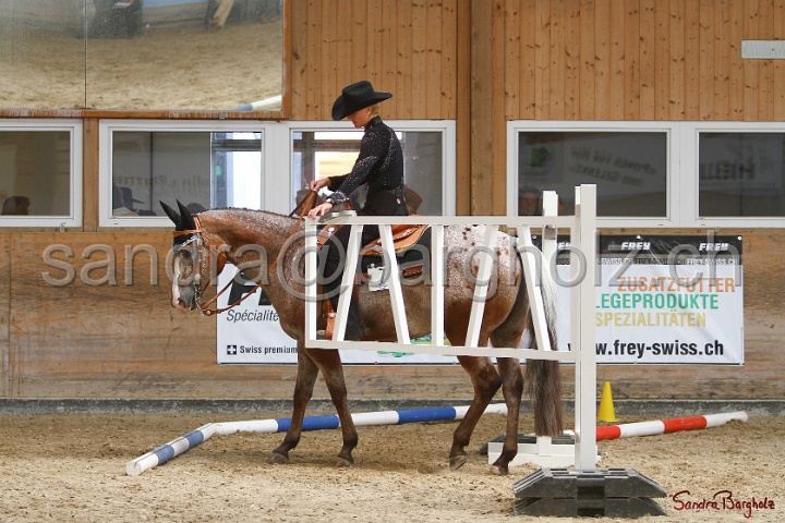 28-ApHC OT_160.jpg